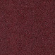 Burgundy Bush