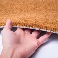 shutterstock_1877081080-550x550w